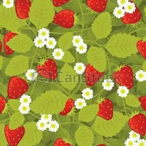 (いちごさん専用)シワ改善クリーム13g 6個セット いちごさん専用)シワ改善クリーム13g 6個セット - メルカリ