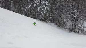 ノローナ 春秋向け 防水保温コート /29 Dri2 Coat レディースM - メルカリ