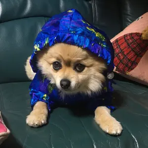 コレアーレグローブ グレー Yuminさま専用 - メルカリ