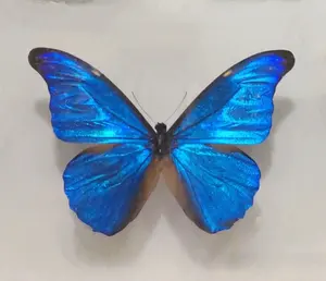 未開封】初音ミク LAM氏 キュリオ・シティ B1ダブルスエード