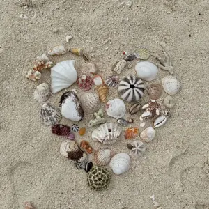 ブ*ー様 売り切れ必至！fcs2 cykoサイコ yas スラスター　トライ　ヤ ブ*ー様 売り切れ必至！fcs2 cykoサイコ yas スラスター トライ