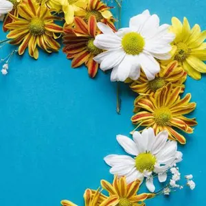 イムラン先生の英会話 英会話 リスニング教材 リスレボ全巻 CD DVD