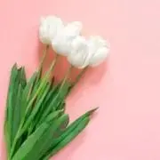 ❣最終値下げ❣遠藤さくら S賞 BIGアクリルスタド のぎBOX NOGIZzz ❣最終値下げ❣遠藤さくら S賞 BIGアクリルスタド のぎBOX NOGIZzz