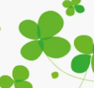 第五人格 Black&White ブラホワ ブックレット - メルカリ