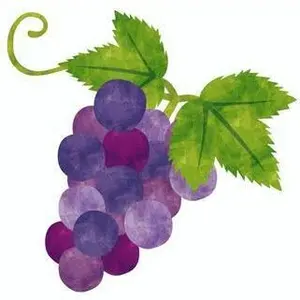 unico ドレープカーテン COGUON コグオン janty 遮光 - メルカリ