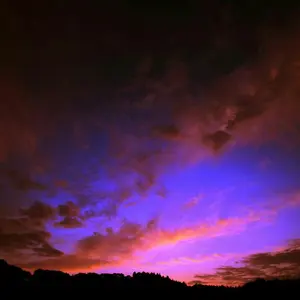 岸*康様 ハーレー FXD サンダンス ローライダーヘッダーズ - メルカリ