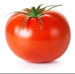 とまとまと@値段交渉歓迎、プロフ必読♪