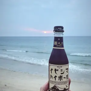 【美品】ルパートニーブデザイン ベース ギター アコースティクダイレクトボックス 美品】ルパートニーブデザイン ベース ギター アコースティク