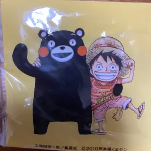 ココノオビアルマジロ 剥製 ワシントン条約 ・日本国内法（種の保存法
