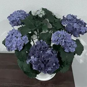 ビアズリー 後ろスカーフカットソー チュニックプルオーバー