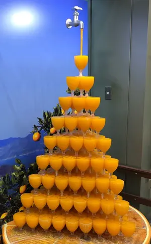 【サイン付き】Drawing Days 特別版 DVD 小関裕太 サイン付き】Drawing Days 特別版 DVD 小関裕太