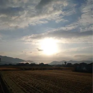 2024年春夏ブルーレーベル ノースリーブワンピース - メルカリ