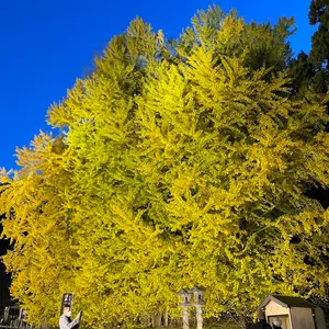 サイズでかいです コカコーラ レトロ看板 ライト ヴィンテージ希少