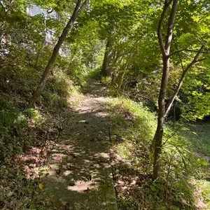 大きめ XL パステル ミンク ファー コート 花柄刺繍 女優襟 ブラウン