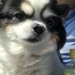 ふみと