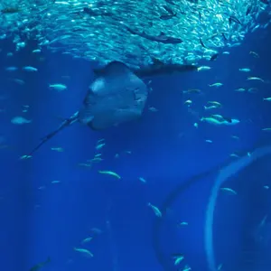 格安スタート 宮本果林さん 裂罅 れっか 陶器製植木鉢 割れ目デザイン