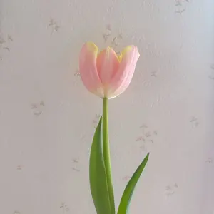 美品⋆✿ OHGA ビッグカラーブラウス 白 - メルカリ