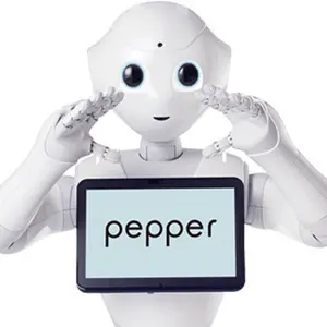 幻のシーネンツェッペリン HOゲージ - メルカリ