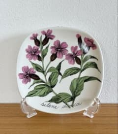 ARABIA エステリ・トムラ ボタニカ