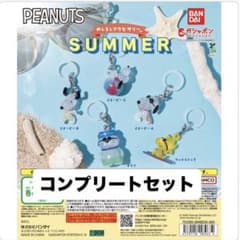 PEANUTS スヌーピー めじるしアクセサリー SUMMER コンプ セットのサムネイル