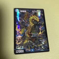 飛翔龍　5000VTのサムネイル