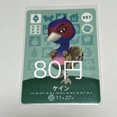 amiibo 카드 케인