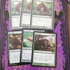 スラーグ牙　進化の飛躍　ナイレアの弓　魔女跡追いのサムネイル