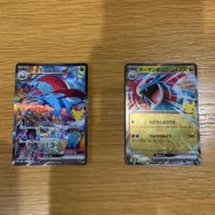 ポケモンカード ボーマンダex 2枚セットのサムネイル
