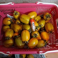 田舎のおばあちゃんの西条柿のサムネイル