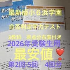 浜学園最新小62025年度小6合否判定学力テスト一年分3教科 得点分布表