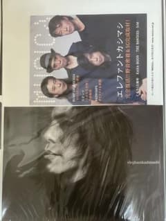 MASTERPIECE B3 エレファントカシマシ music A3ポスター - メルカリ