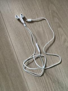 Apple純正イヤホンのサムネイル