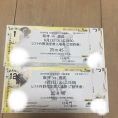 甲子園チケット 2026年6月2日甲子園チケット 阪神 vs 西武 レフト外野指定席入場券