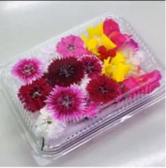 無農薬エディブルフラワーのサムネイル