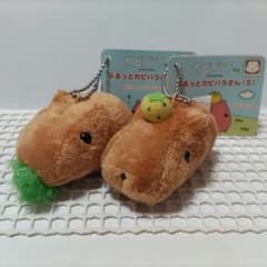 카피바라 씨 부랏과 카피바라 씨 S 사이즈 2 체 세트