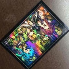 つかもん様専用遊戯王霊使いスリーブのサムネイル