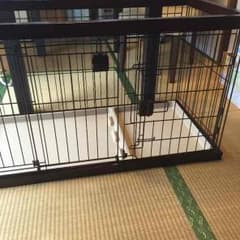 犬猫用ゲージのサムネイル