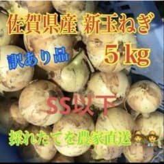 佐賀県産 新玉ねぎ 5kg【SS以下小さいサイズ】のサムネイル