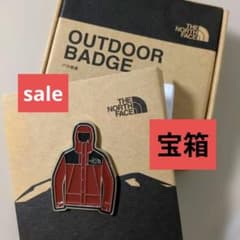 THE NORTH FACE ロゴ ピンバッジ アウトドアバッジ ジャケット型