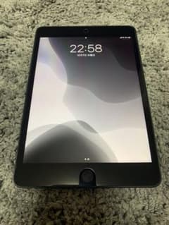 iPad mini 5 64GB Wi-Fi+Cellular SIMフリーのサムネイル