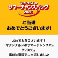 マクドナルドサマーチャンスバッグ2026ポケカ未開封２種付きピカ様なりきりセットのサムネイル