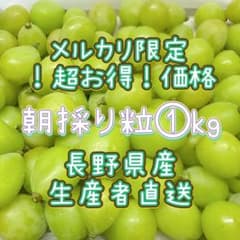 1キロ粒★長野県産☺︎︎生産者直送☺︎︎シャインマスカットのサムネイル
