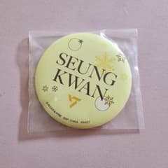 SEVENTEEN 이치 반 쿠지 D상 캔 마그넷 수관
