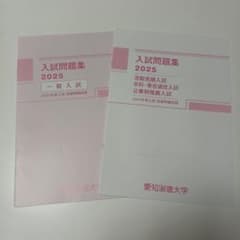 愛知淑徳大学　入試問題集　AO入試　公募制推薦　2017年～2026年10年分 愛知淑徳大学 入試問題集 AO入試 公募制推薦 2017年～2026年10年