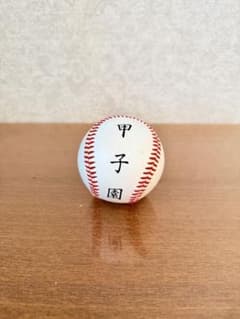 華金SALE⭐️全国高校野球選手権大会 記念ボール2個セット 甲子園 全国高校野球選手権大会 記念ボール - メルカリ