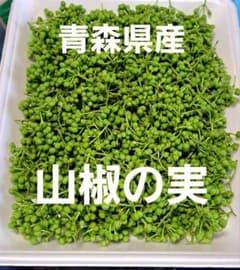 青森県産 山椒の実 200グラム - メルカリ