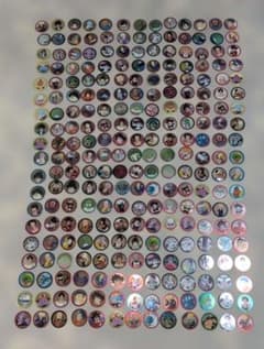 304枚のサムネイル