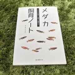 メダカ飼育ノート 佐々木浩之のサムネイル
