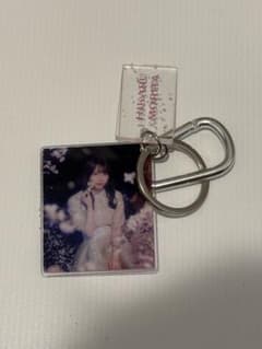 乃木坂46 生写真 直筆サイン 金川紗耶 しあわせの保護色 表題 ヒキ