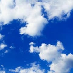 *blue sky様専用*のサムネイル